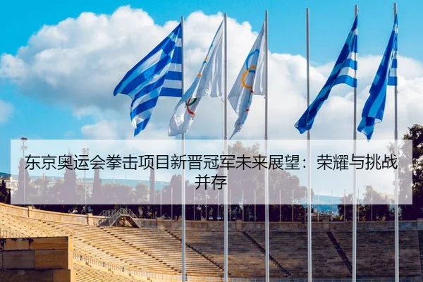 东京奥运会拳击项目新晋冠军未来展望：荣耀与挑战并存