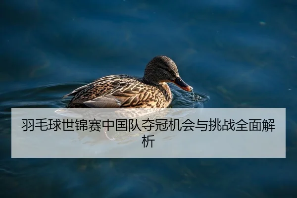羽毛球世锦赛中国队夺冠机会与挑战全面解析